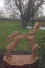 h. Boxing Hares.jpg